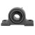 Wide Inner Ring Cast Iron Housing Material Pillow Block Wide Inner Ring Cast Iron Housing Material Pillow Block