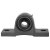 Wide Inner Ring Cast Iron Housing Material Pillow Block Wide Inner Ring Cast Iron Housing Material Pillow Block