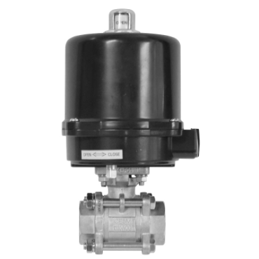 Dixon Valve & CouplingBV2IG-10011-EA