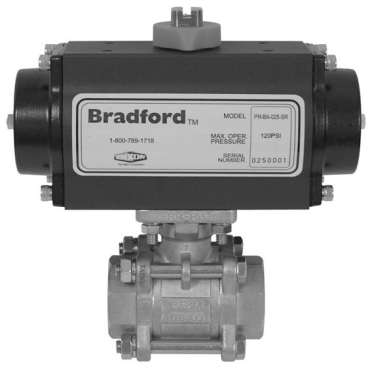 Dixon Valve & CouplingBV2IG-10011-BCC