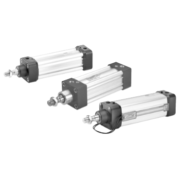 Parker Hannifin Corp.P1D-G080MCE0200NNN