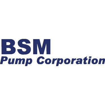 BSM Pumps117-713-9030-270