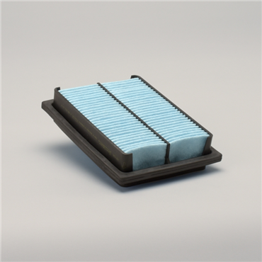 DonaldsonP500138