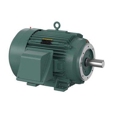 50 hp 365TC Frame Three Phase AC Motor