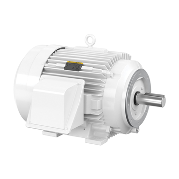 50 hp 365TC Frame Three Phase AC Motor