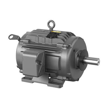 10 hp 256T Frame Three Phase AC Motor