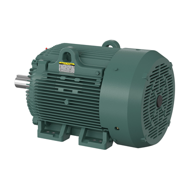 75 hp 405T Frame Three Phase AC Motor