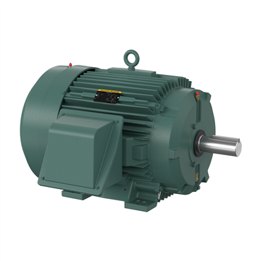 75 hp 365T Frame Three Phase AC Motor