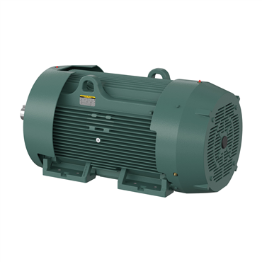 200 hp 449T Frame Three Phase AC Motor
