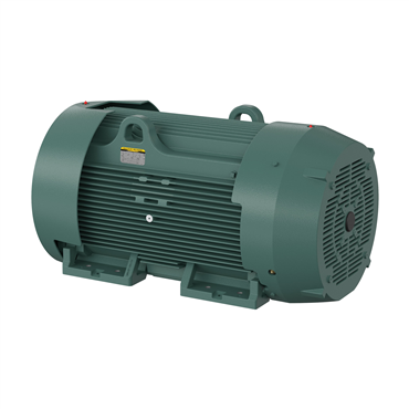 250 hp 449TS Frame Three Phase AC Motor