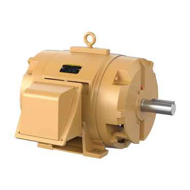 75 hp 365T Frame Three Phase AC Motor