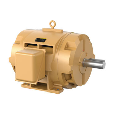 75 hp 405T Frame Three Phase AC Motor