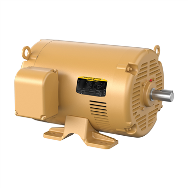 75 hp 365TS Frame Three Phase AC Motor