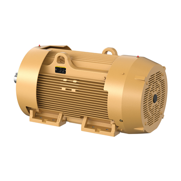 125 hp 445T Frame Three Phase AC Motor