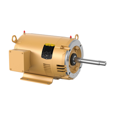10 hp 213TCZ Frame Three Phase AC Motor