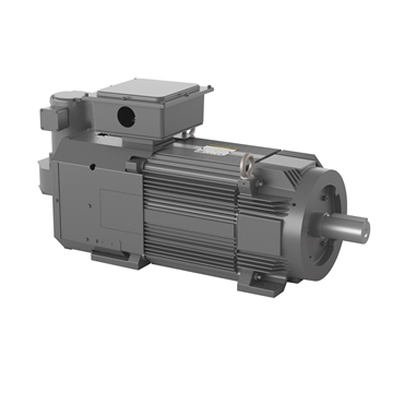 100 hp FL2890Z Frame Three Phase AC Motor