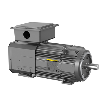 20 hp FL2162CZ Frame Three Phase AC Motor