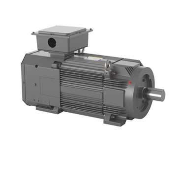 75 hp FL2898Z Frame Three Phase AC Motor