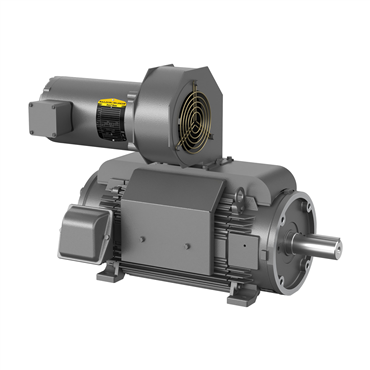 25 hp FL1844CZ Frame Three Phase AC Motor