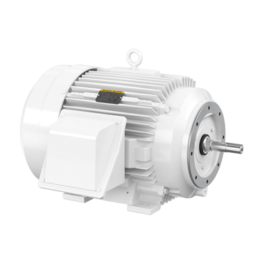 60 hp 364TCZ Frame Three Phase AC Motor