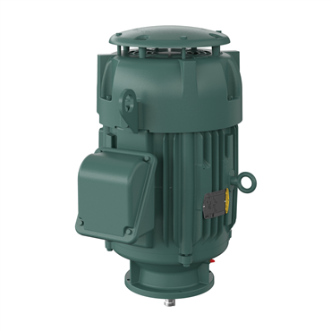 25 hp 284HP Frame Three Phase AC Motor