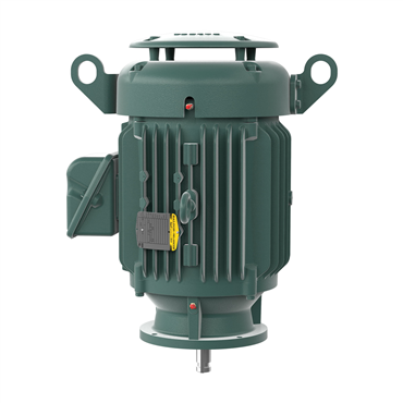 20 hp 256HP Frame Three Phase AC Motor