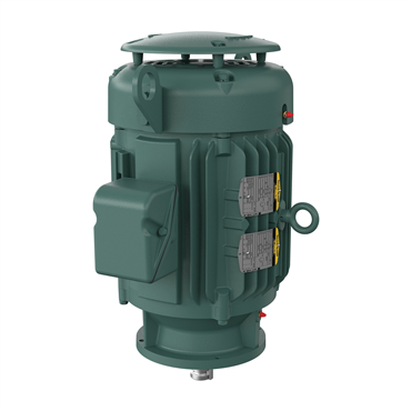 15 hp 254LP Frame Three Phase AC Motor