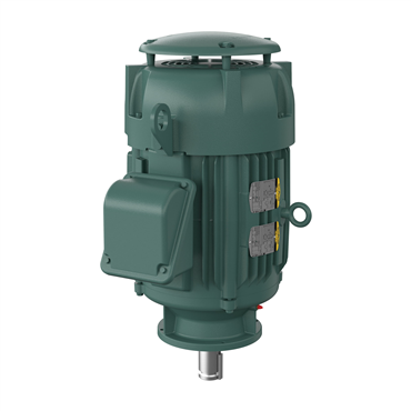 30 hp 286LP Frame Three Phase AC Motor