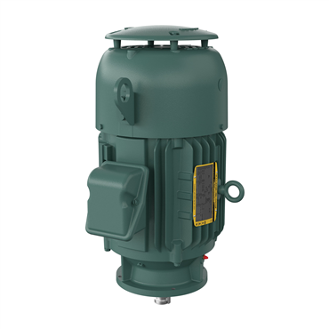 20 hp 256LP Frame Three Phase AC Motor