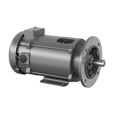 Baldor-RelianceVP3585D