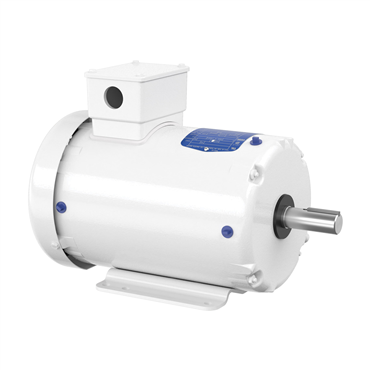 3 hp 143T Frame Three Phase AC Motor