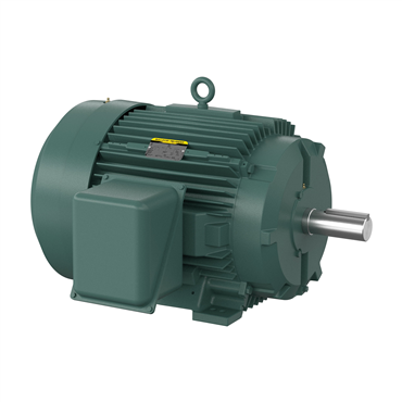 75 hp 365T Frame Three Phase AC Motor