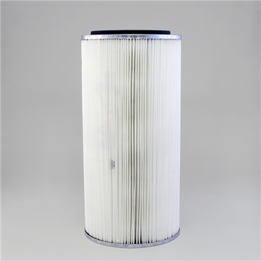 Donaldson ToritP031790-016-436